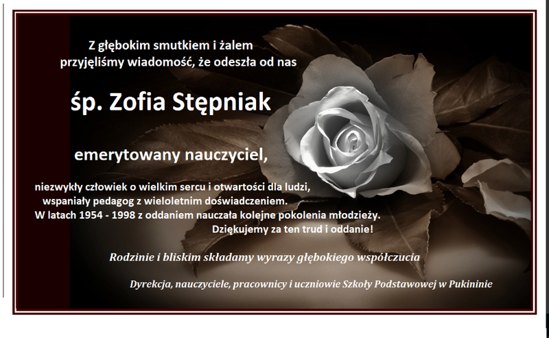 Zdjęcie