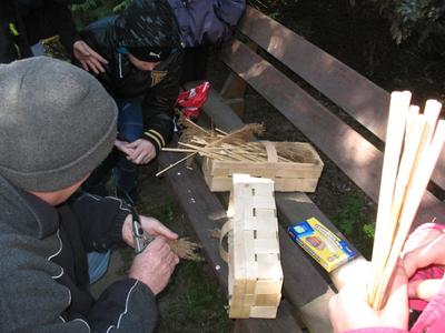 Kobiałka to świetne miejsce na domek dla owadów