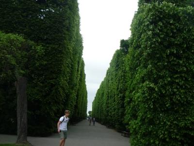 Alejka w Parku Oliwskim