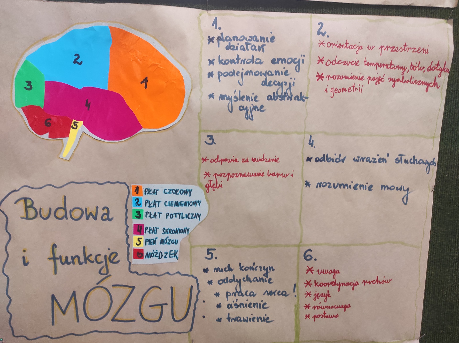 Tutaj powinien być opis