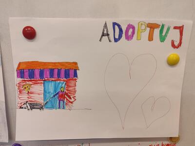 adoptuj_zwierzeta_13.jpg[small]