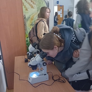 laboratoria_25_4.jpg[small]