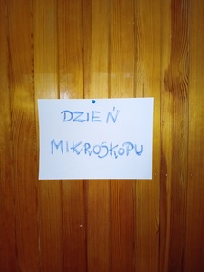 mikroskopy_dab_5.jpg[small]