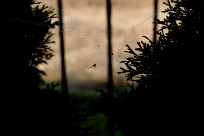 obraz2jpg [400x267]