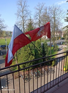 Flaga mazowsza