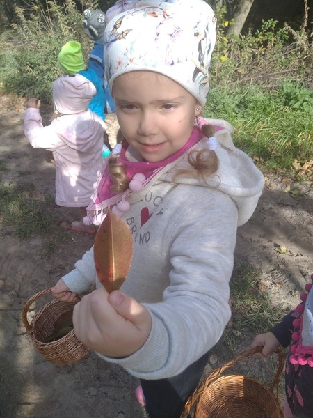 Zdjęcie