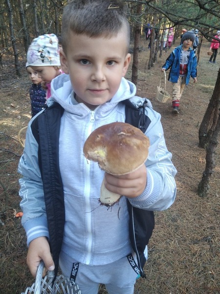 Zdjęcie