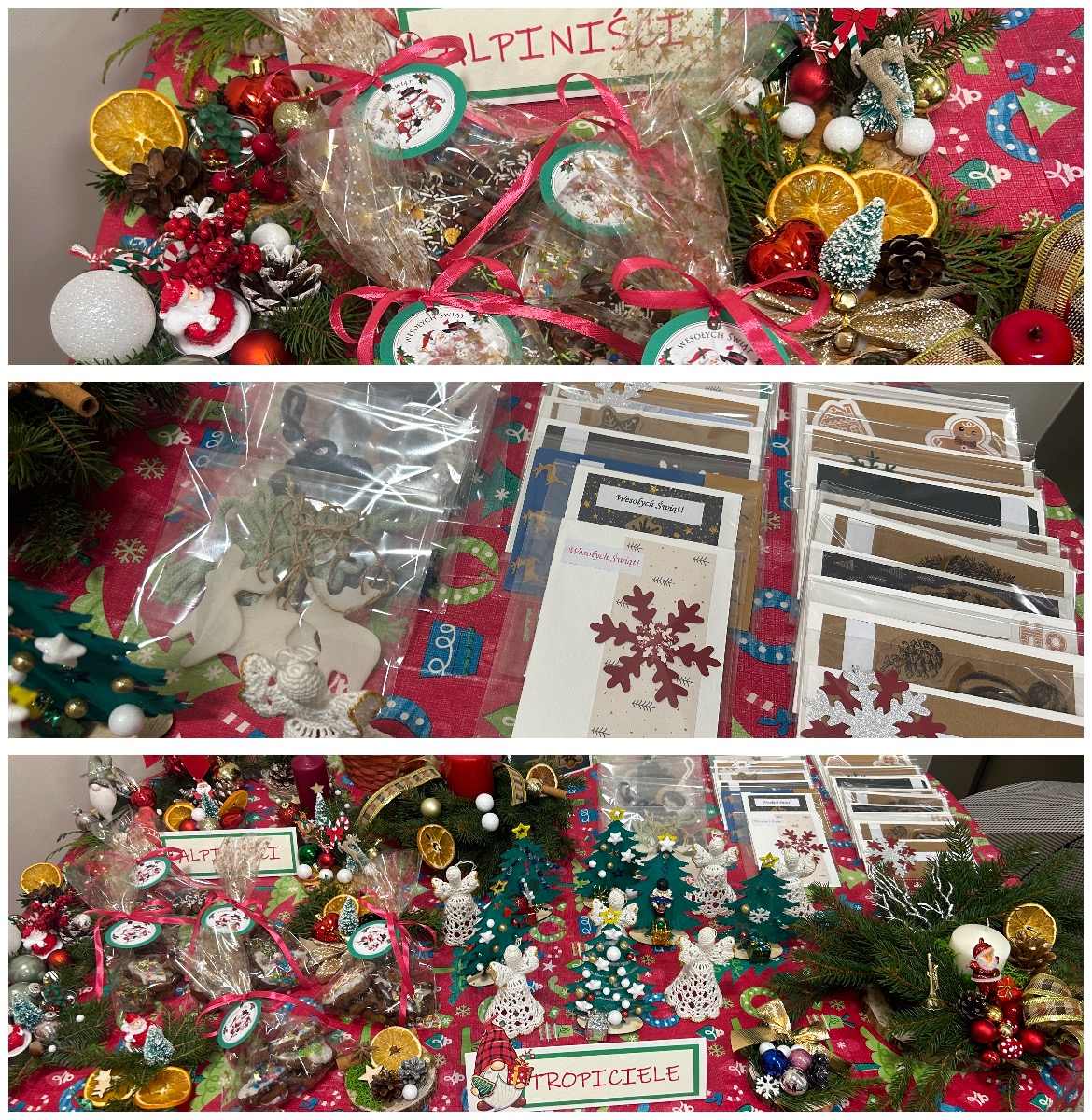 Tutaj powinien być opis