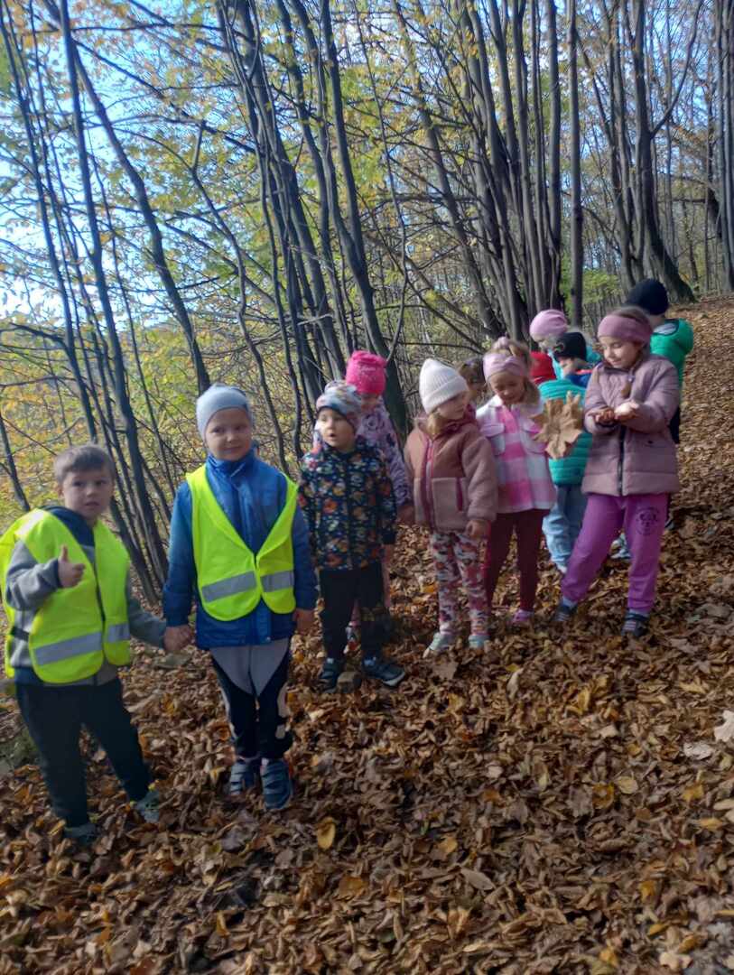 368088325_1014565209821009_8887652746547342016_n.jpg [1536x2040]