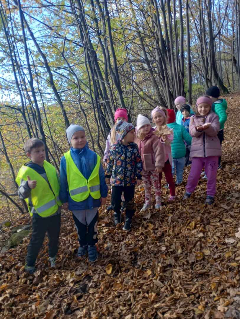 371544324_717225633616354_5292319238601262956_n.jpg [1536x2040]