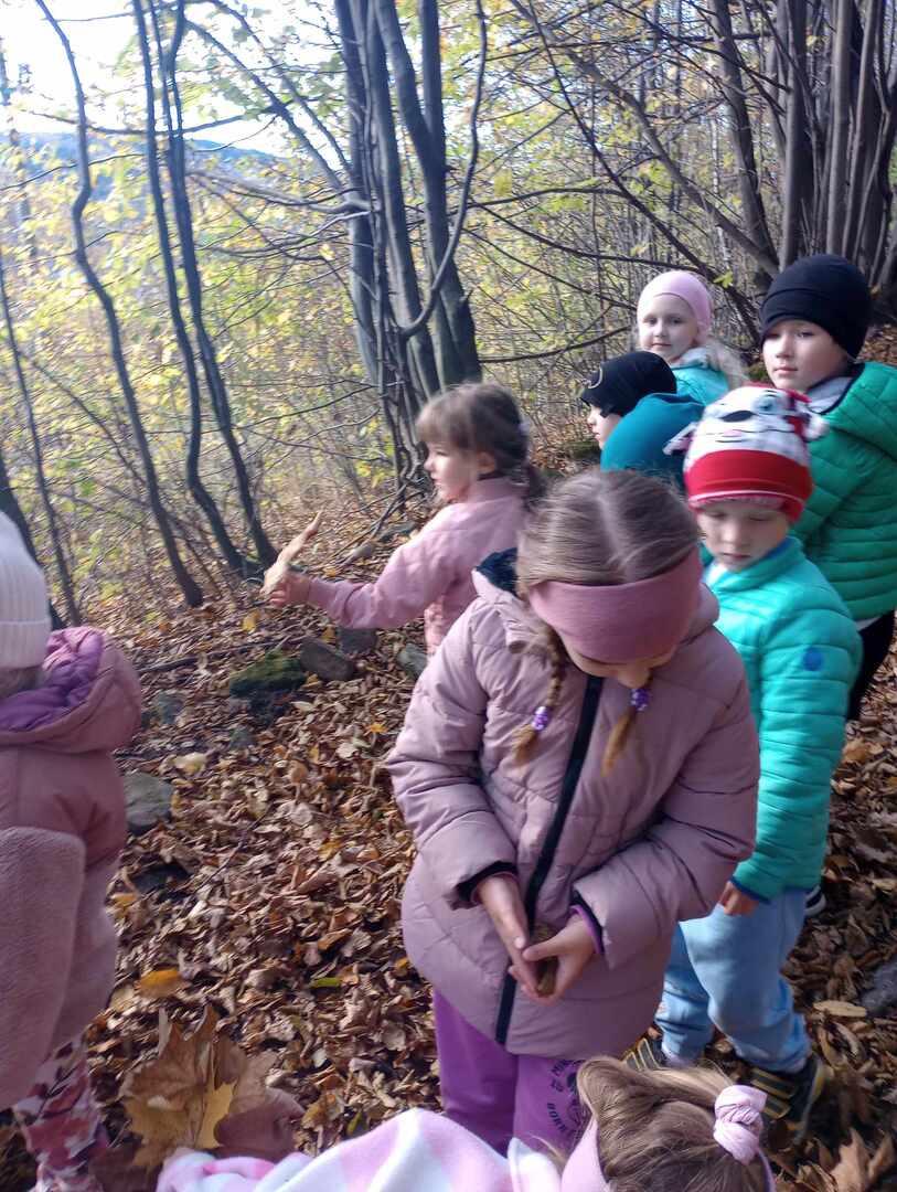 376518435_338733898704656_2323310900016159105_n.jpg [1536x2040]