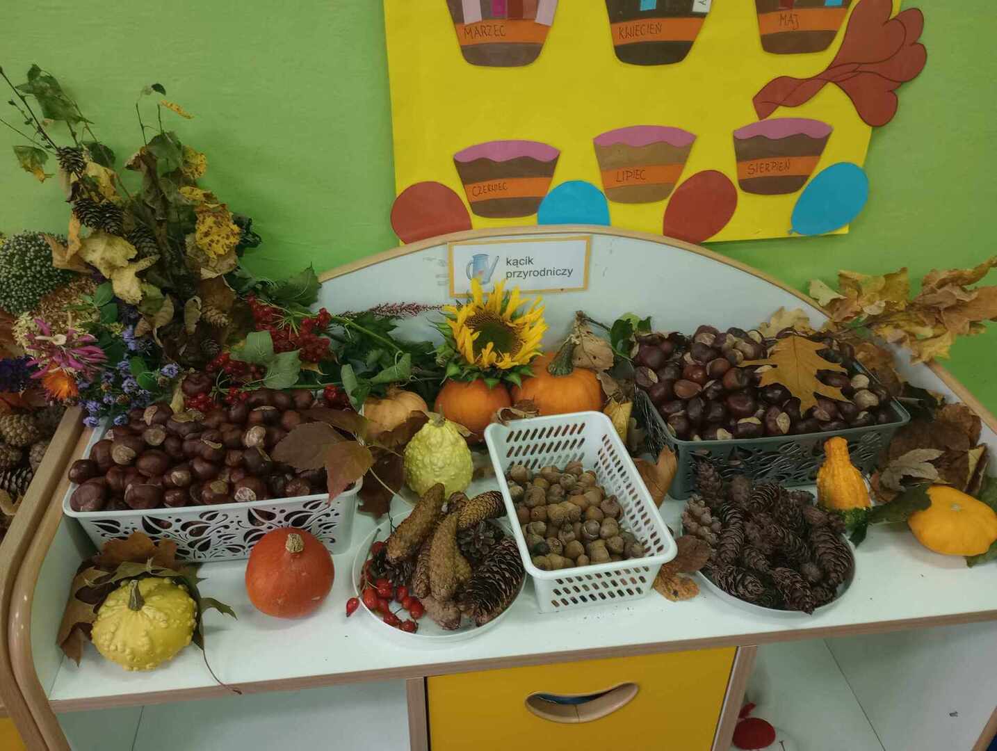 393789358_1467987613986424_5422404378475809495_n.jpg [2040x1536]