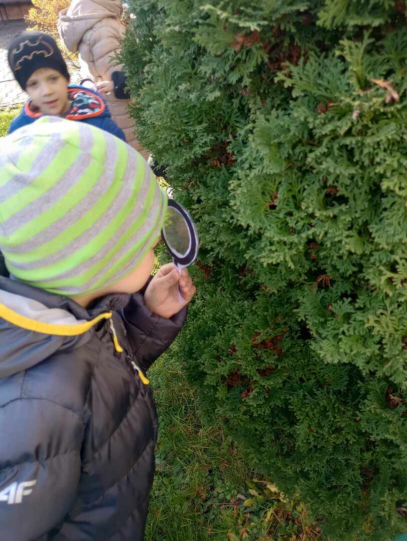 368033398_274109711790793_3033969471066153344_n.jpg [1536x2040]