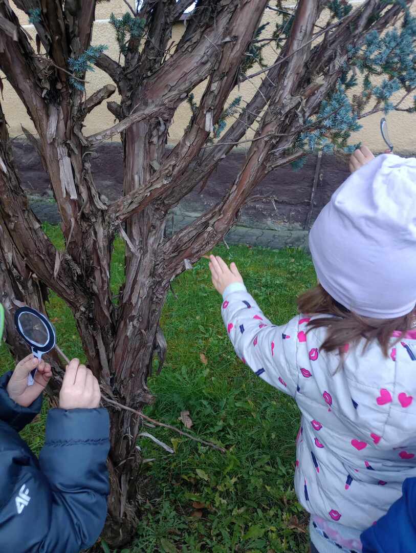 368509920_1251065452227078_2075168150171585953_n.jpg [1536x2040]