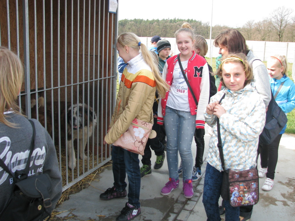 Tutaj powinien być opis obrazka