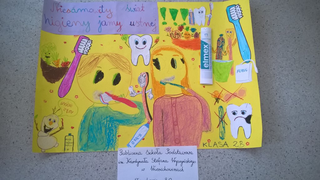 wp_20190125_10_36_04_pro_1jpg [1024x577]