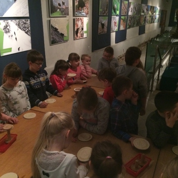 Tutaj powinien być opis